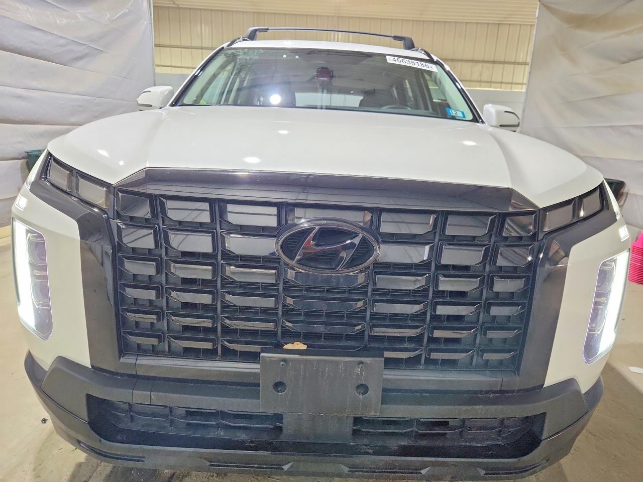 2024 Hyundai Palisade Xrt - Фото 5