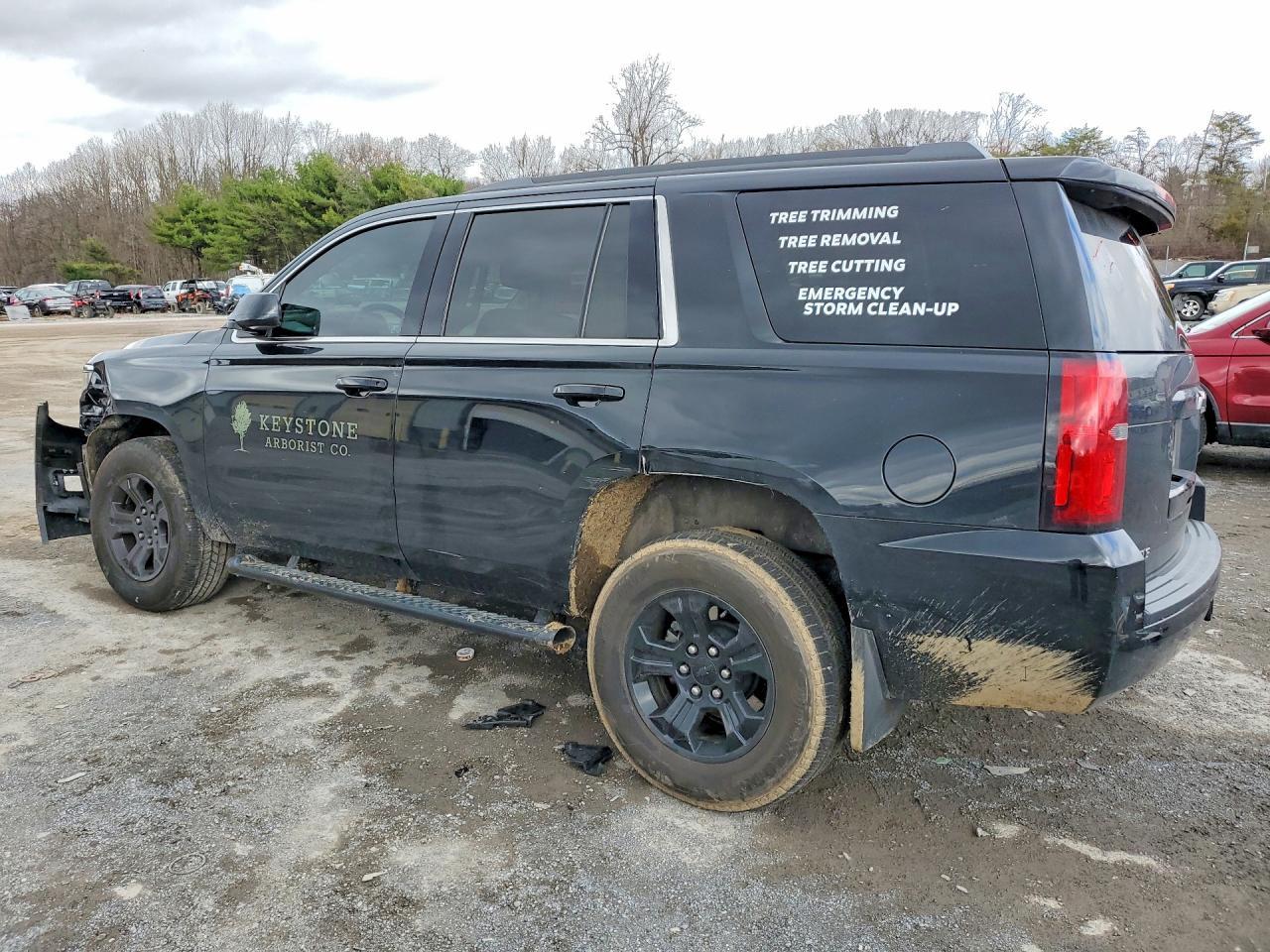 2020 Chevrolet Tahoe K1500 Ls - Фото 2