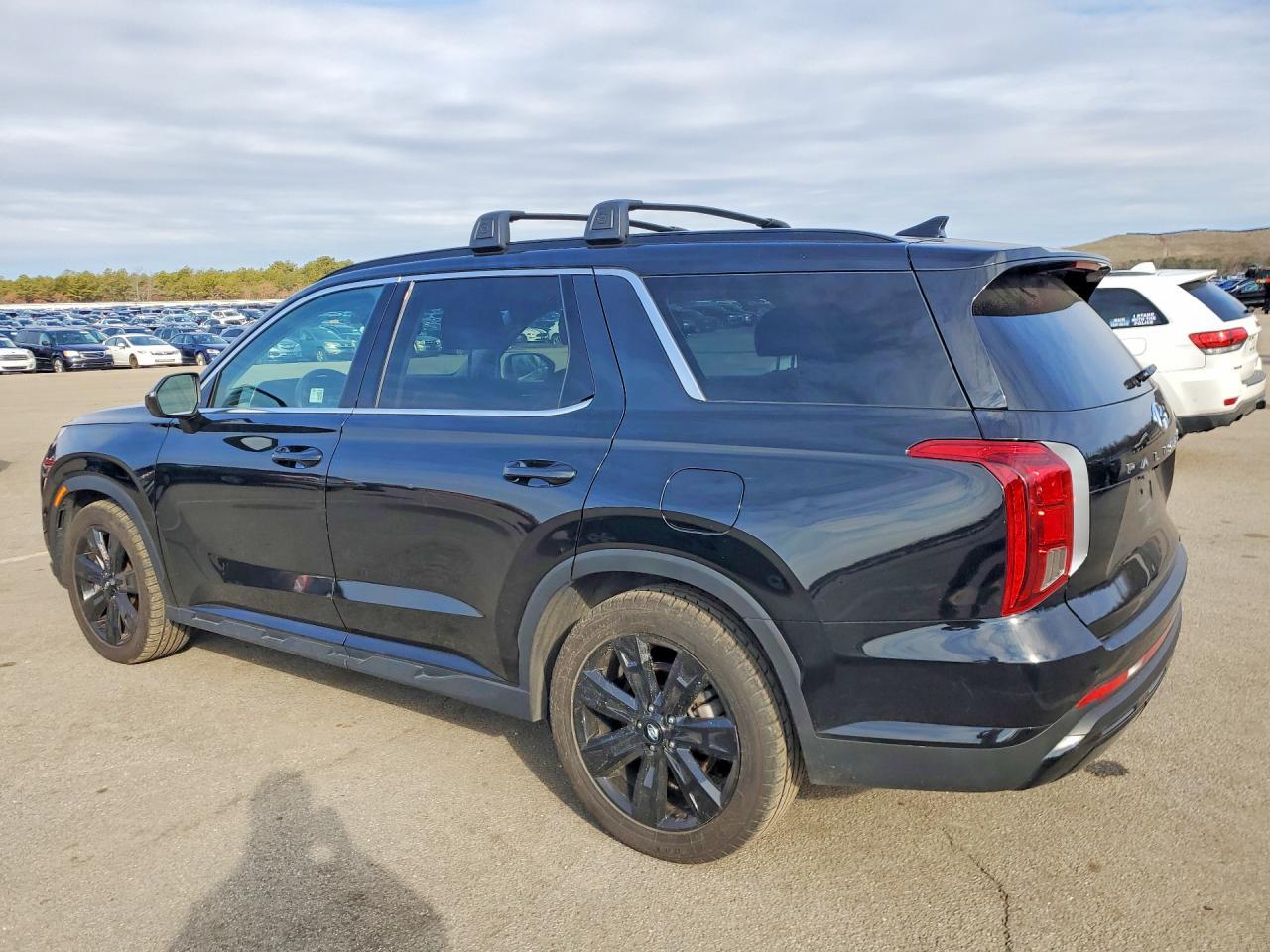 2024 Hyundai Palisade Xrt - Image 2