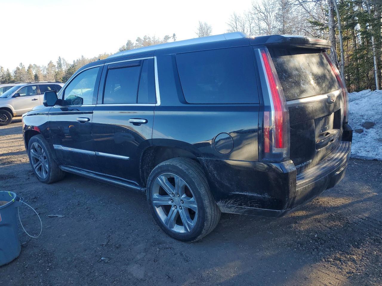 2019 Cadillac Escalade Platinum - Фото 2