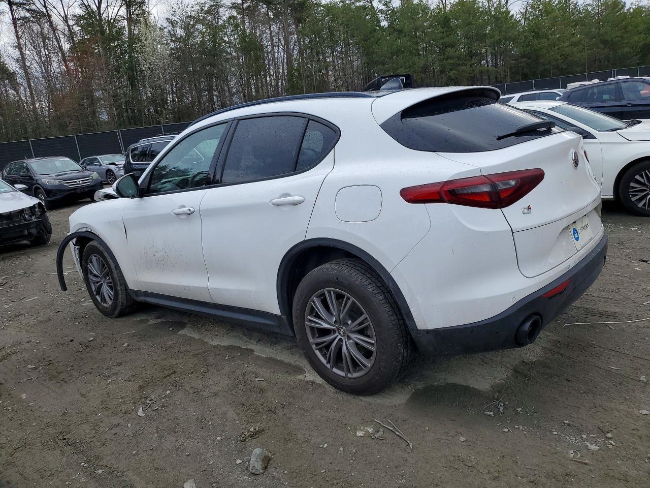 2023 Alfa Romeo Stelvio Sprint - Фото 2