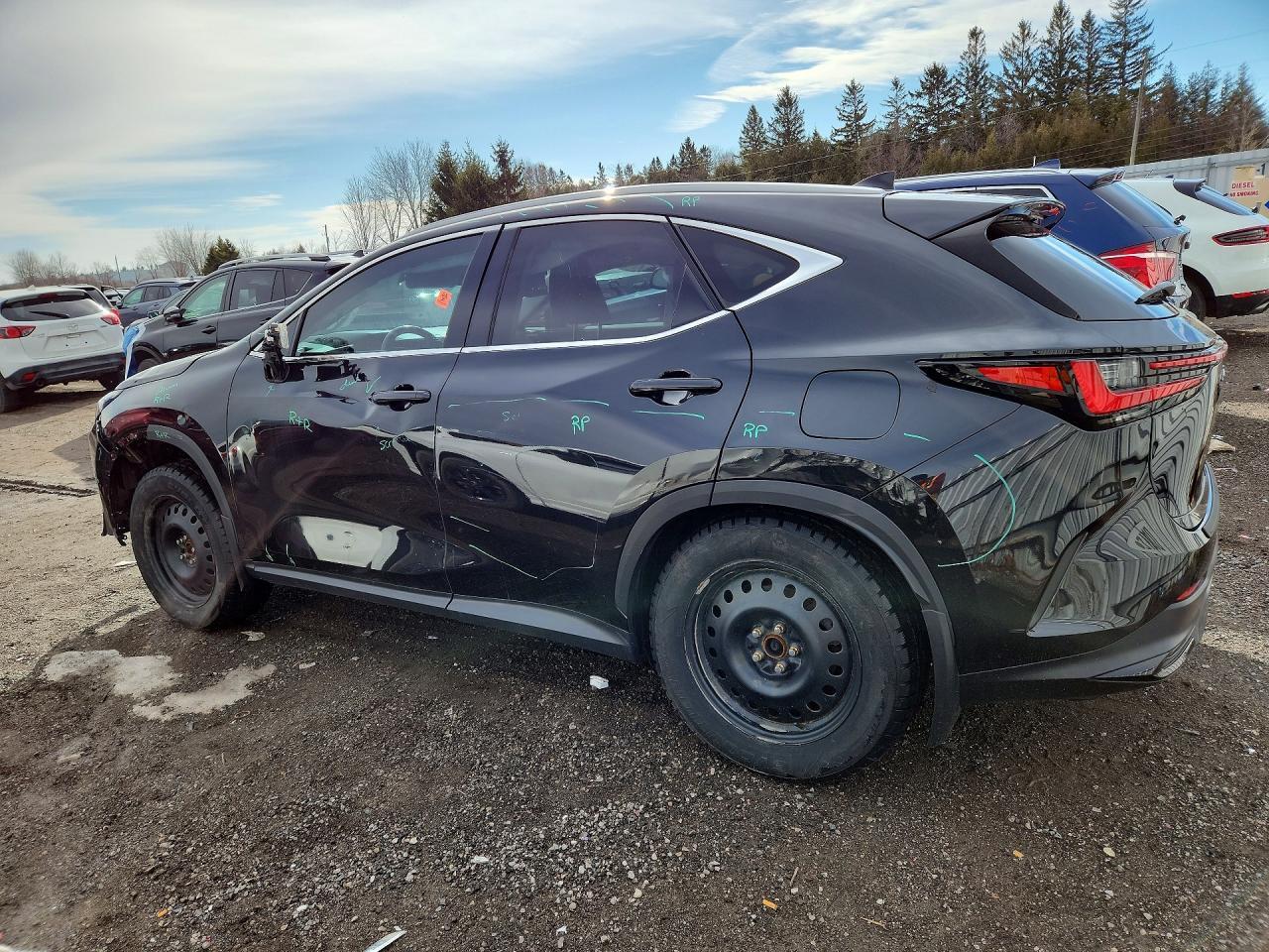 2022 Lexus Nx 250 - Фото 2