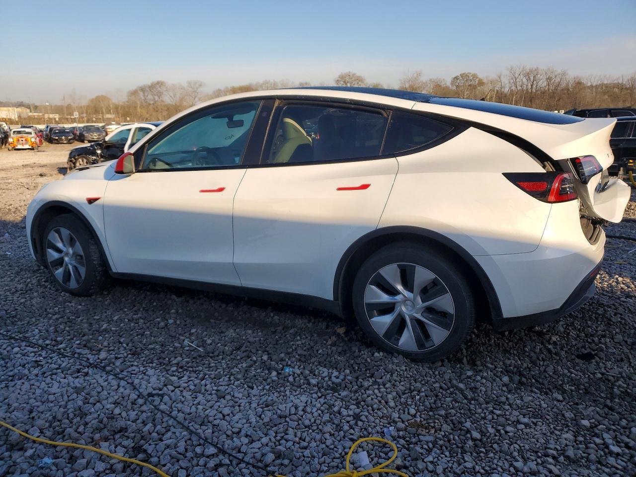 2023 Tesla Model Y - Фото 2