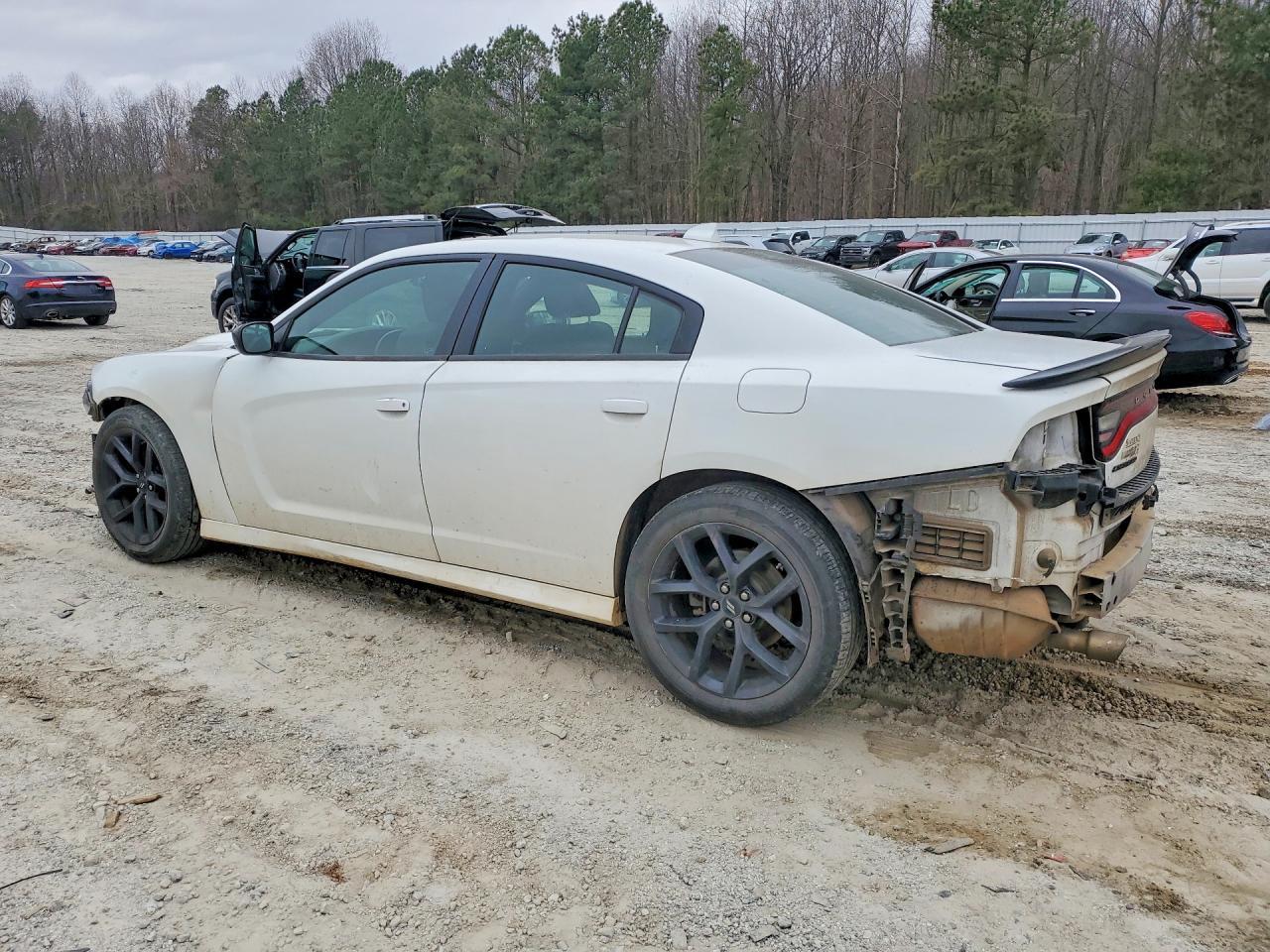 2019 Dodge Charger Gt - Фото 2