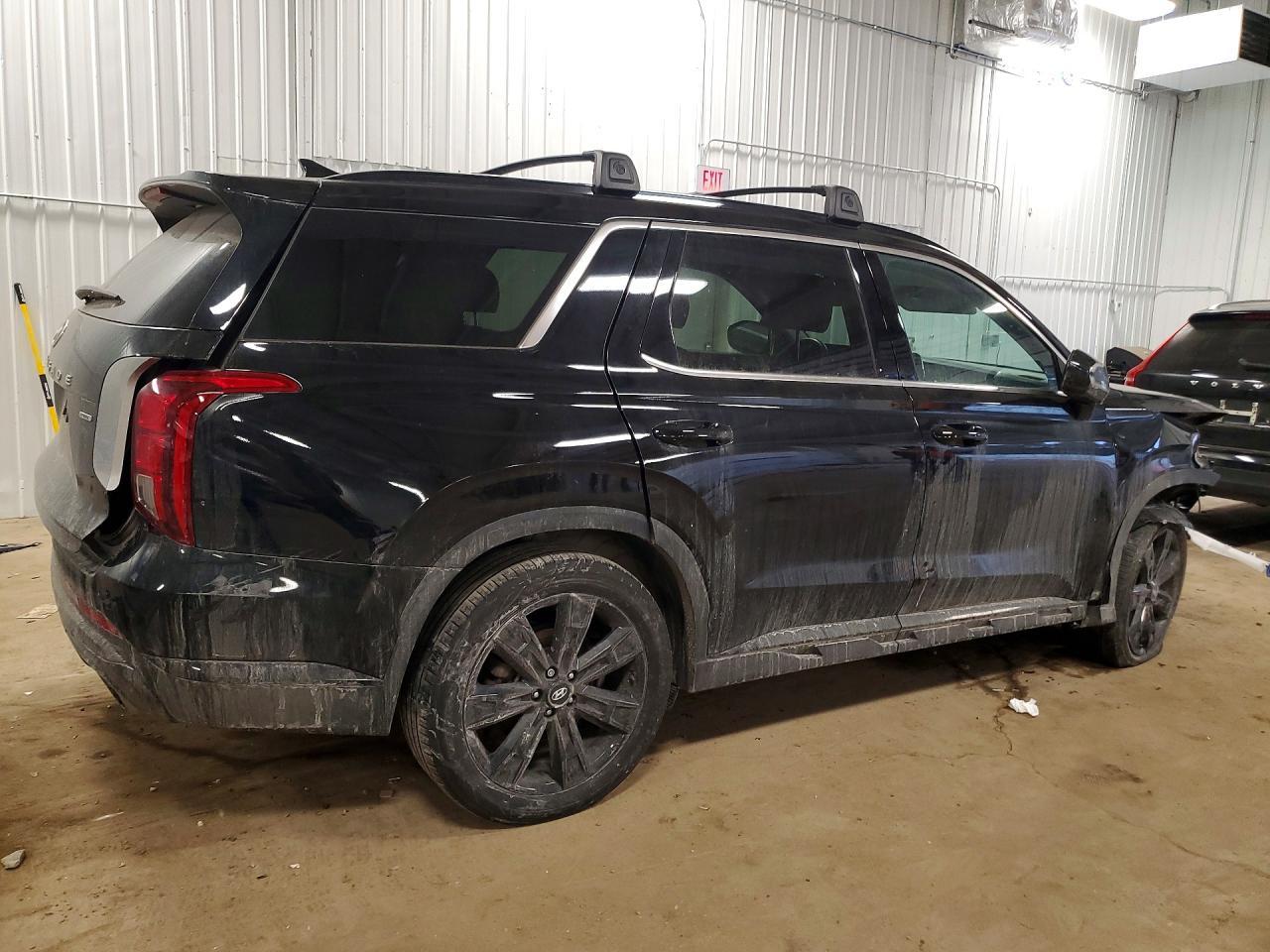 2024 Hyundai Palisade Xrt - Фото 3