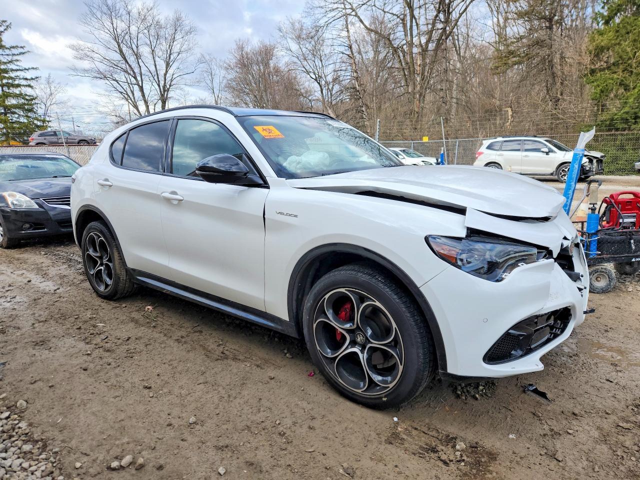 2024 Alfa Romeo Stelvio Ti - Фото 4