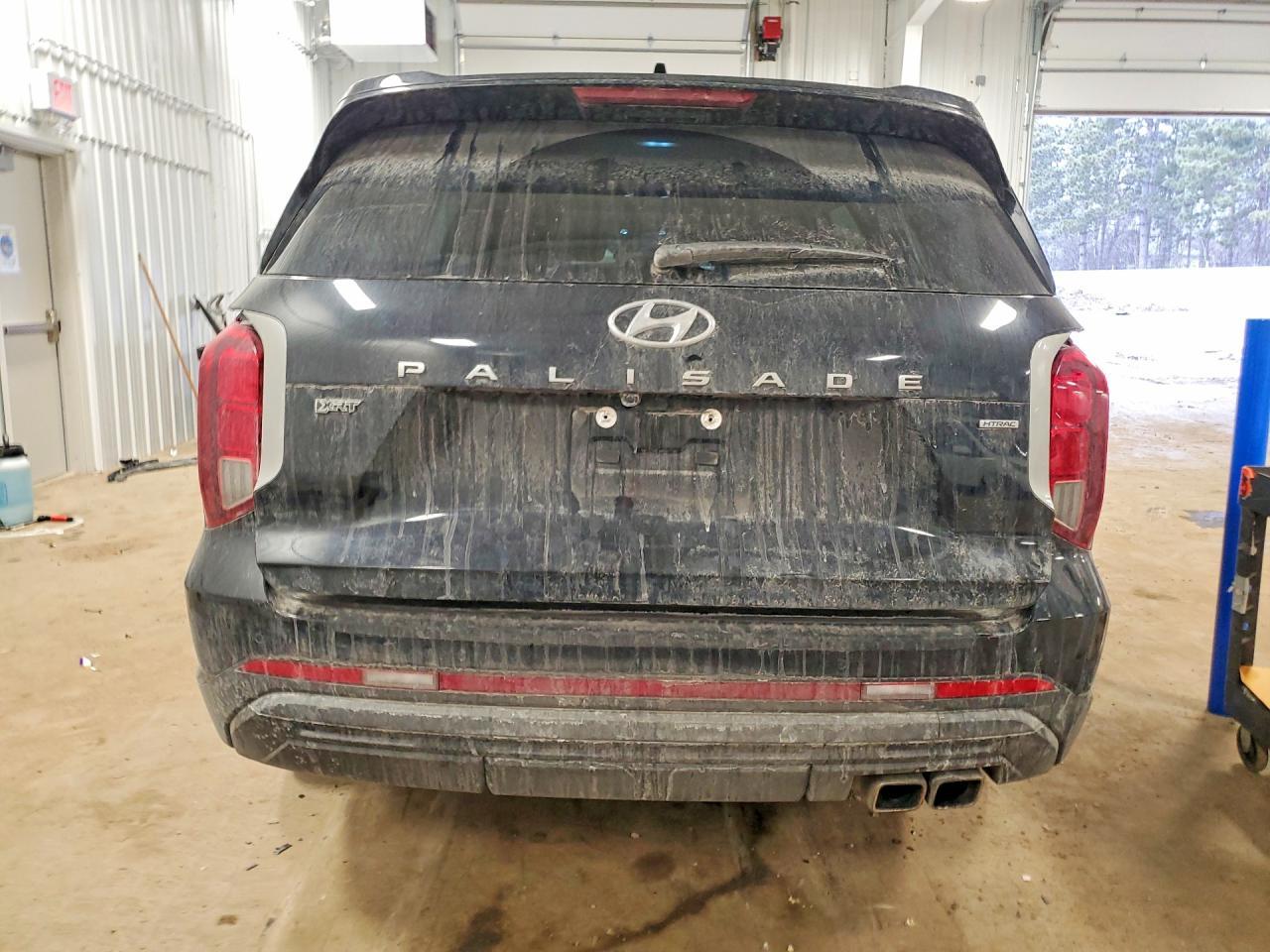 2024 Hyundai Palisade Xrt - Фото 6