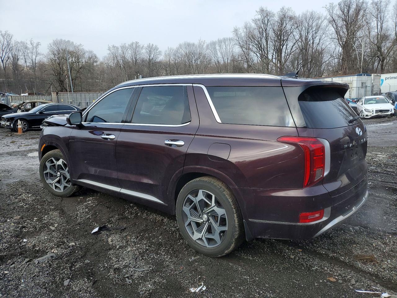 2022 Hyundai Palisade Calligraphy - Фото 2