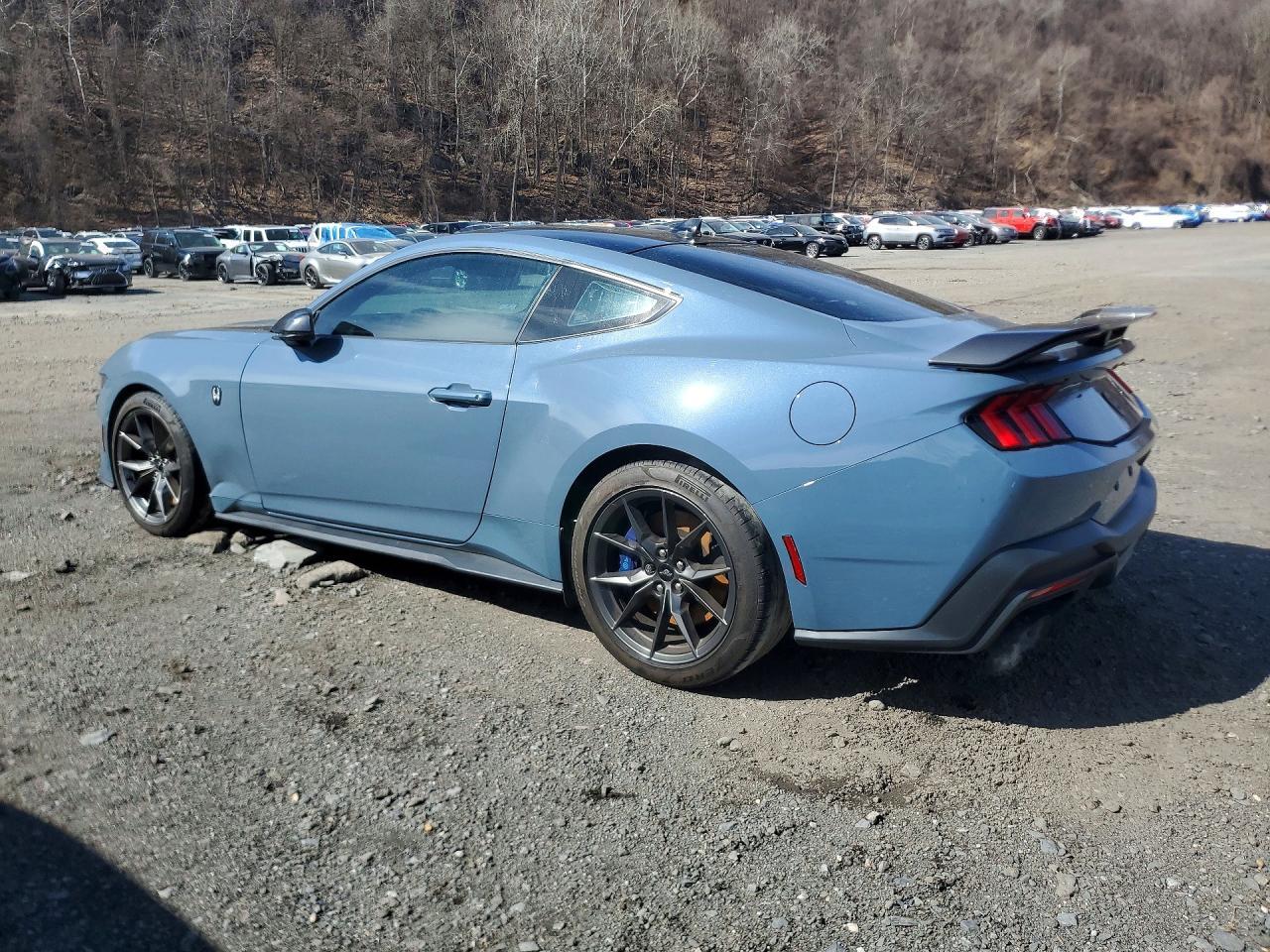 2024 Ford Mustang Dark Horse - Фото 2