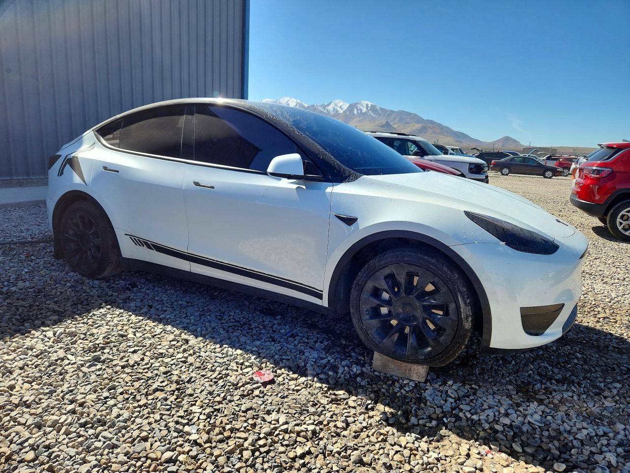 2023 Tesla Model Y - Фото 4