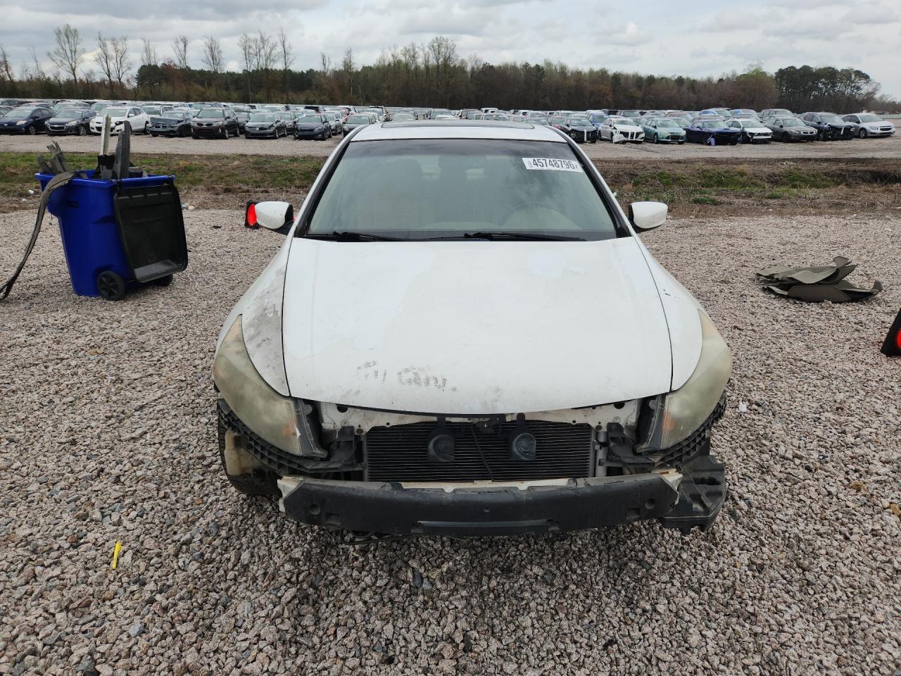 2008 Honda Accord Exl - Image 5