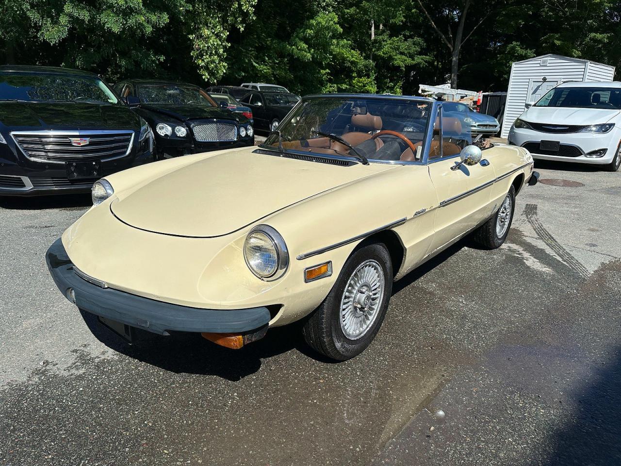 1982 Alfa Romeo Veloce 2000 Spider - Фото 2