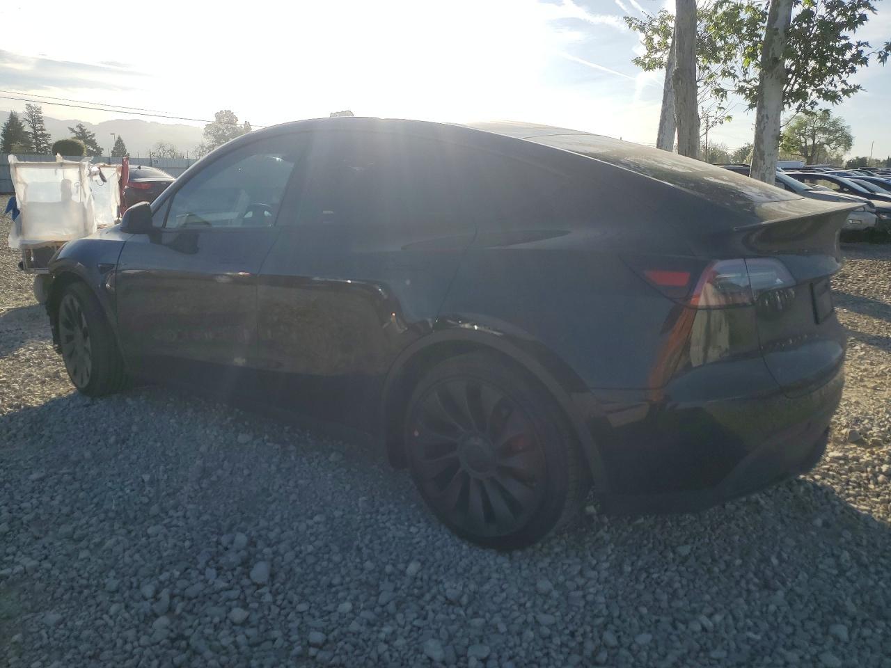 2023 Tesla Model Y - Фото 2