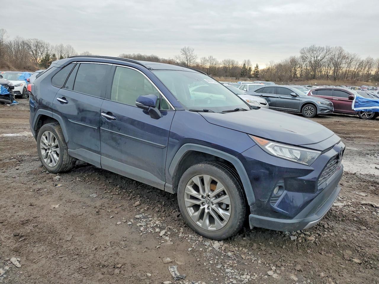 2019 Toyota Rav4 Limited - Image 4