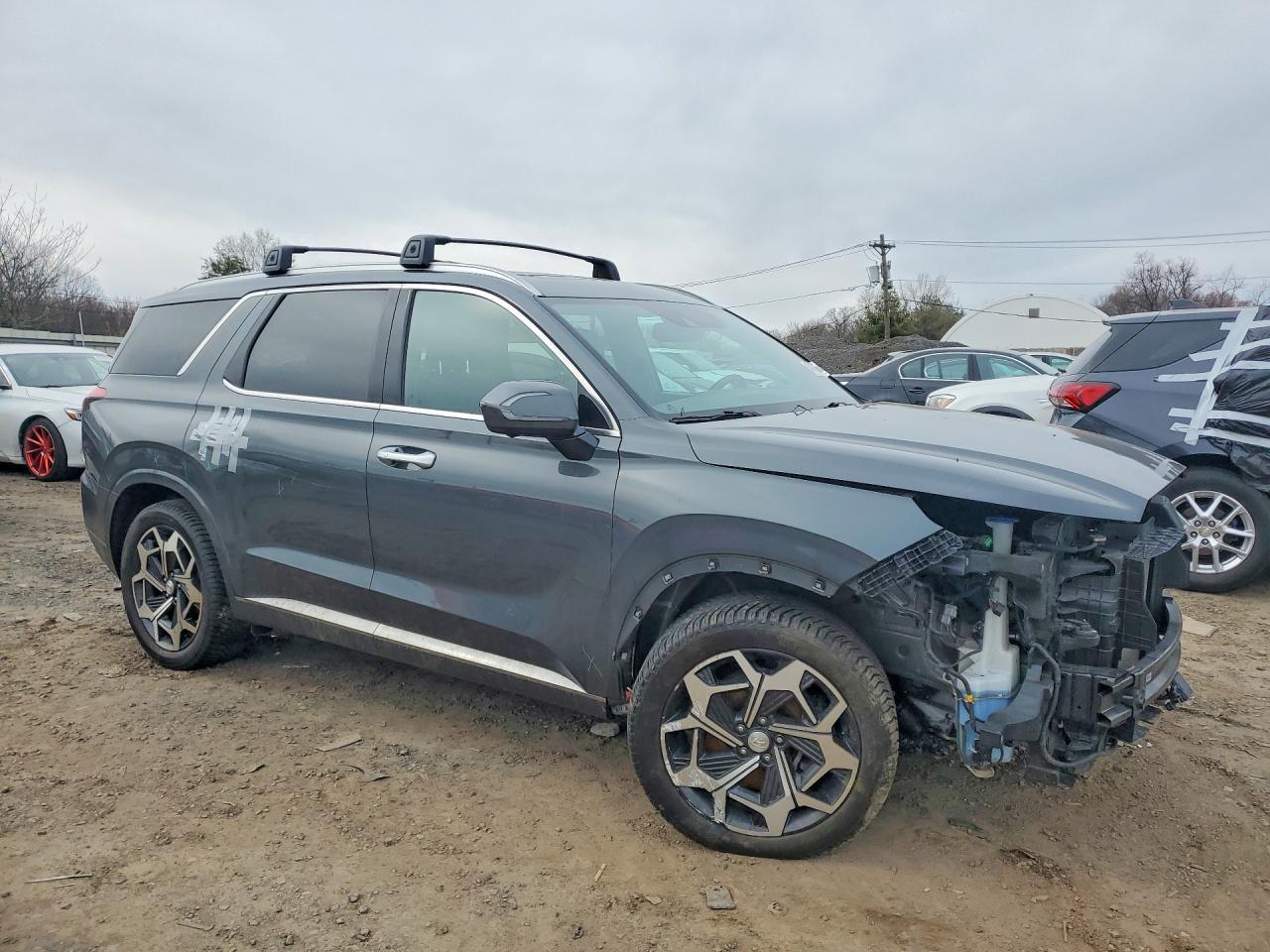 2022 Hyundai Palisade Calligraphy - Фото 4