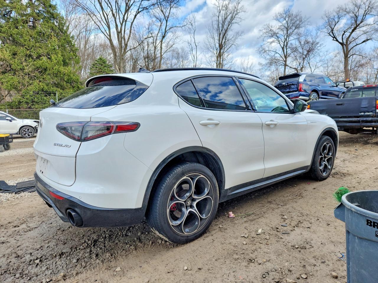 2024 Alfa Romeo Stelvio Ti - Фото 3