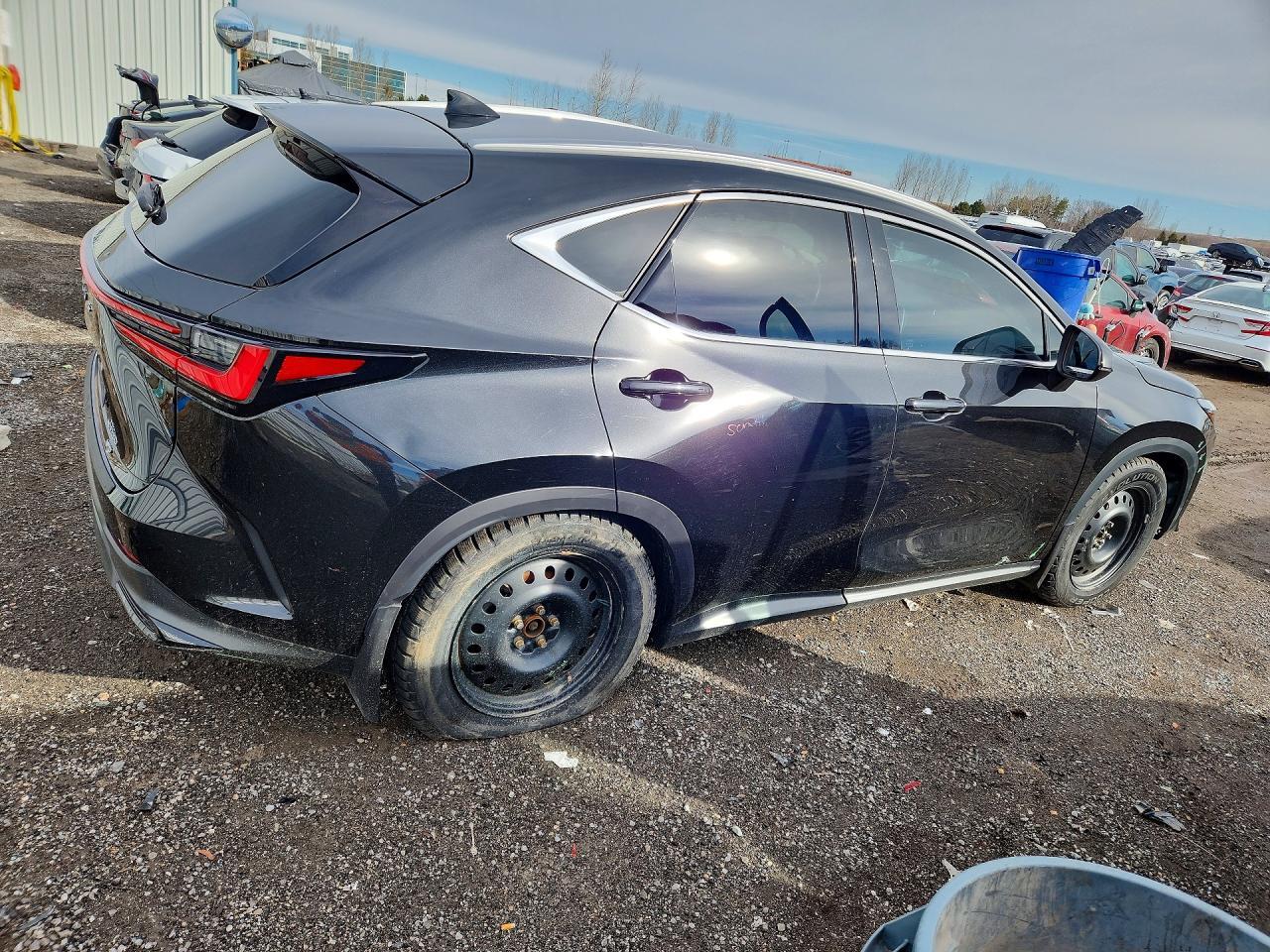 2022 Lexus Nx 250 - Фото 3