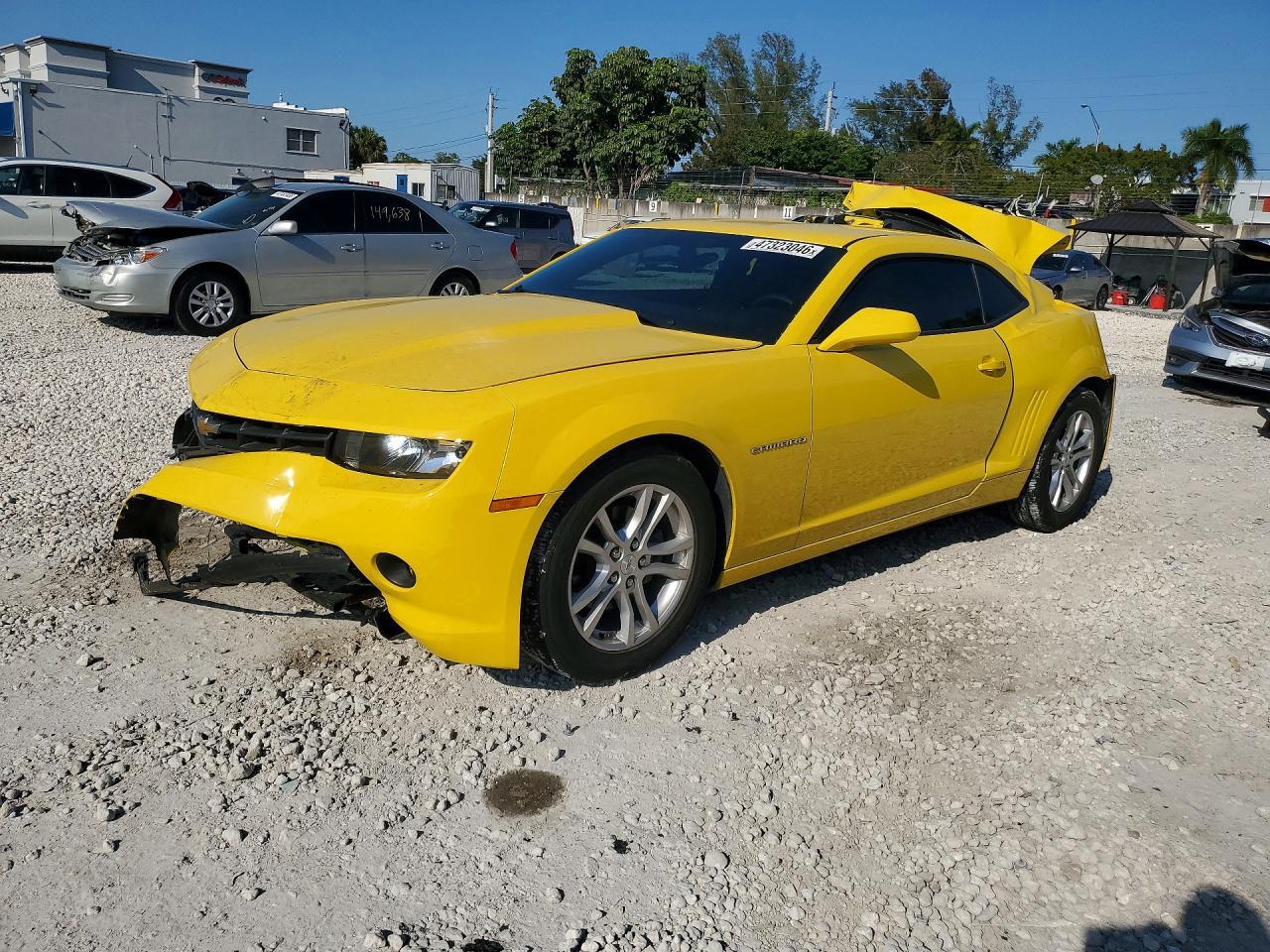 lot