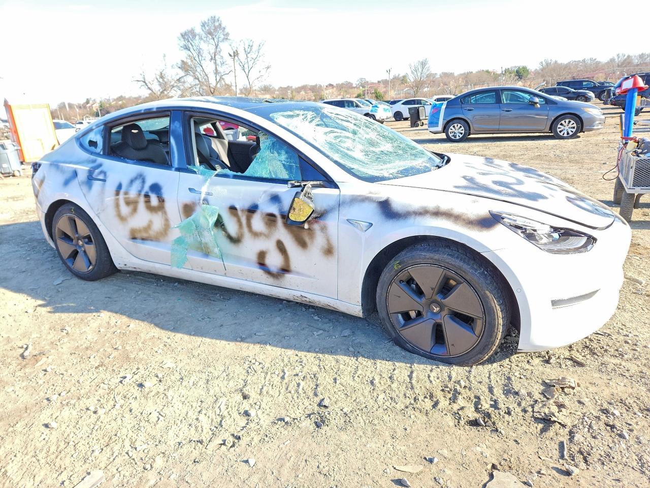2021 Tesla Model 3 - Фото 4