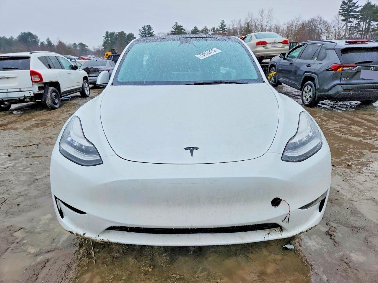 2023 Tesla Model Y - Фото 5
