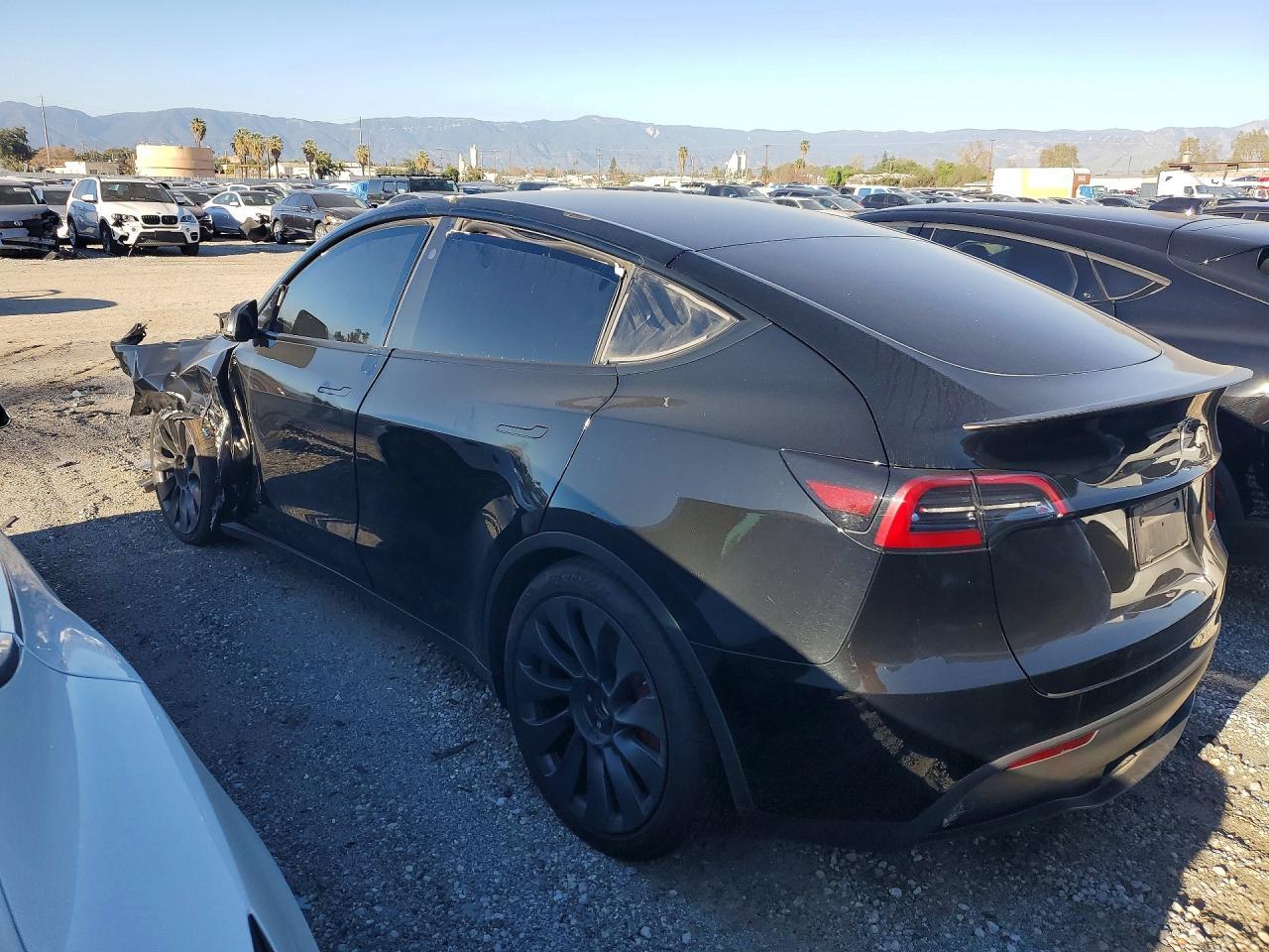 2024 Tesla Model Y - Фото 2