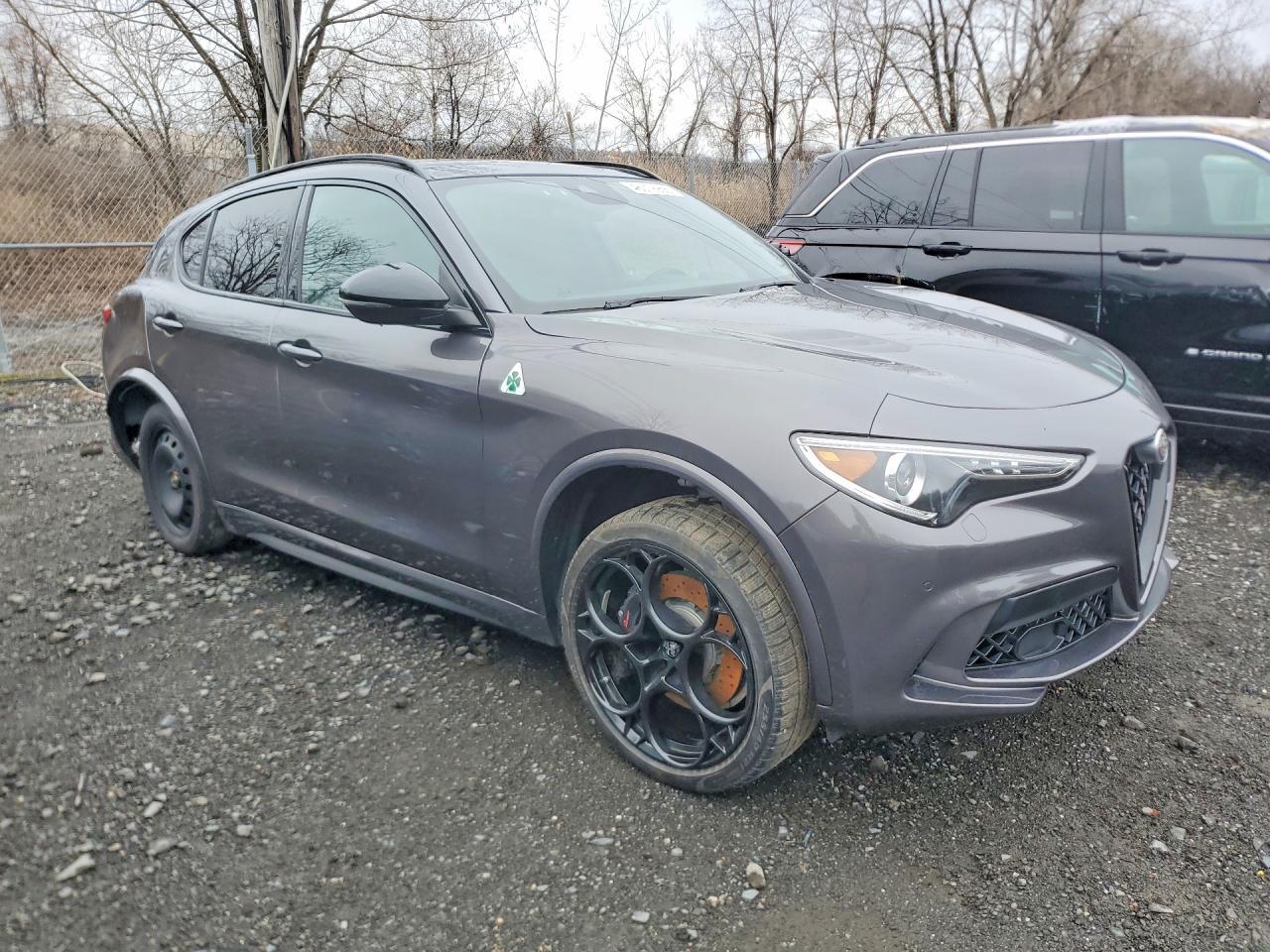 2023 Alfa Romeo Stelvio Quadrifoglio - Image 4