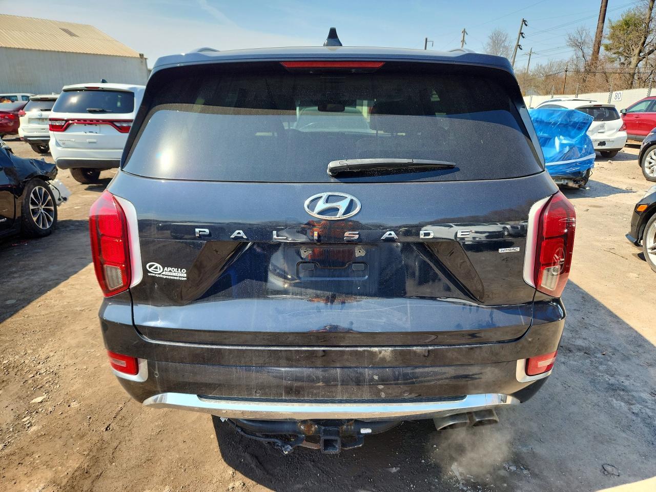 2020 Hyundai Palisade Limited - Фото 6