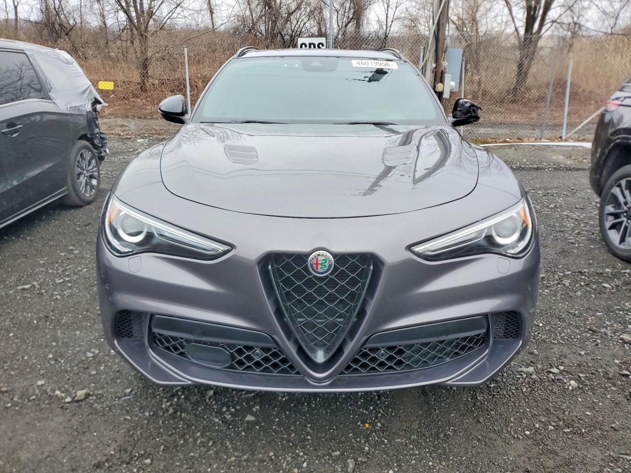 2023 Alfa Romeo Stelvio Quadrifoglio - Image 5