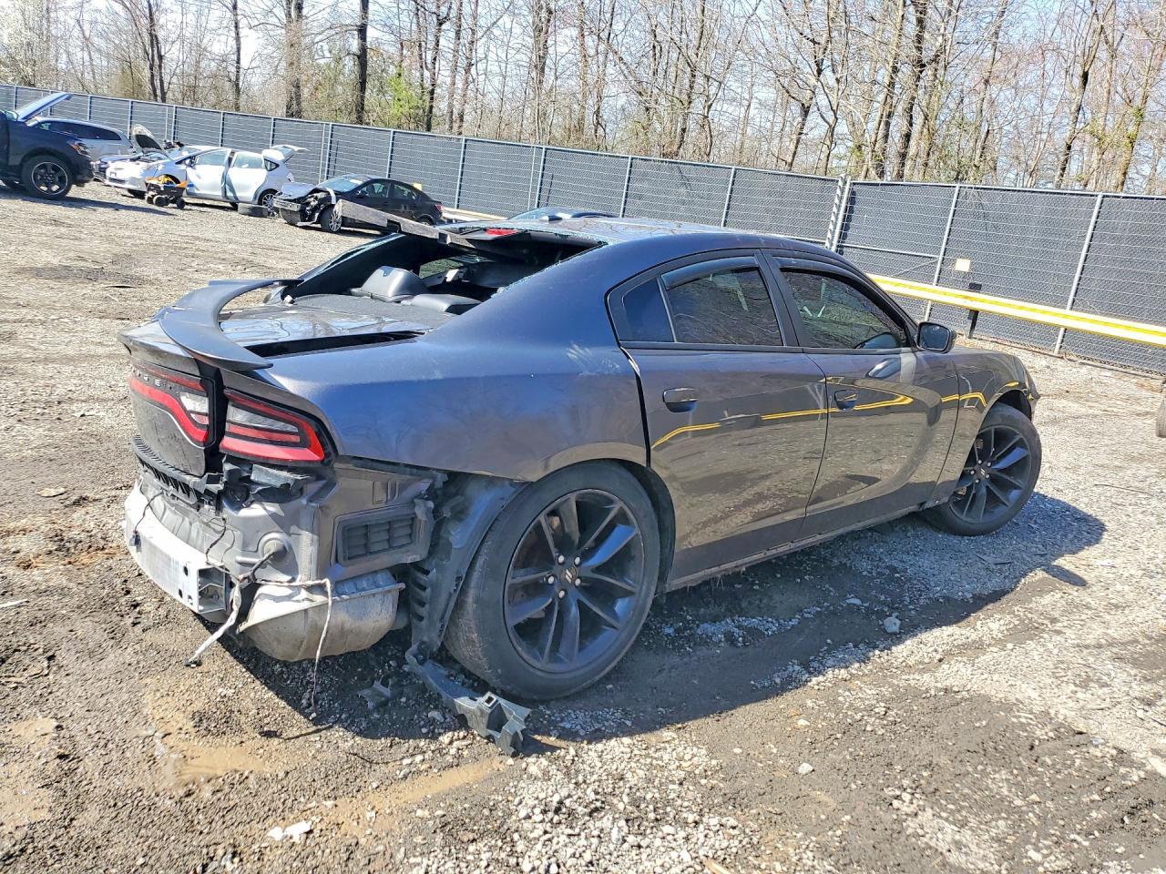 2019 Dodge Charger Sxt - Фото 3