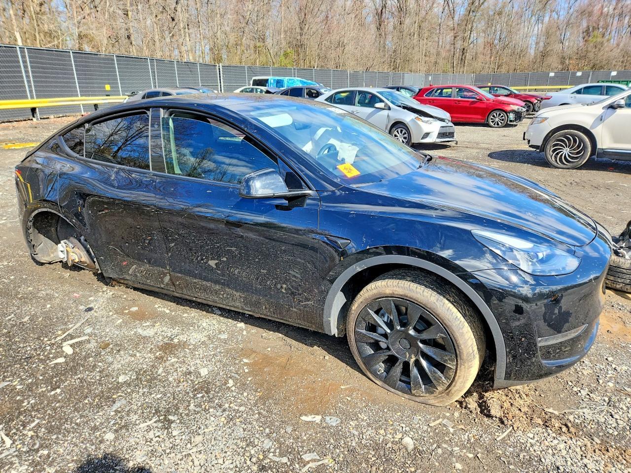2024 Tesla Model Y - Фото 4