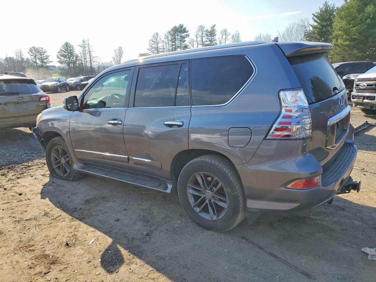 2015 Lexus Gx 460 - Фото 2