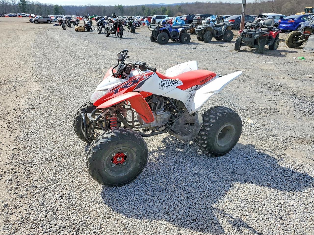 2024 Honda Trx250 X Atv - Фото 2