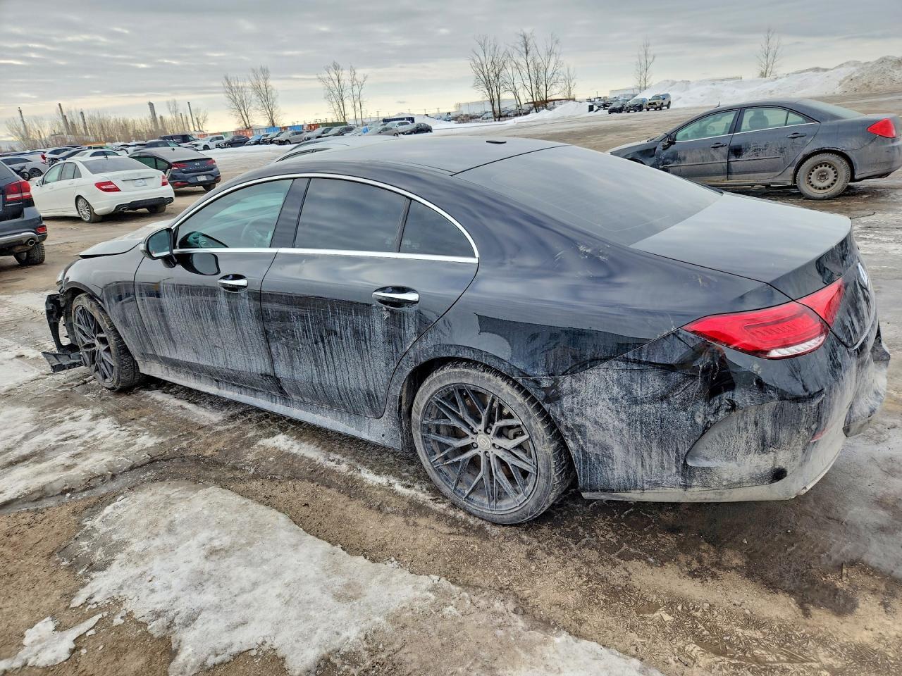 2020 Mercedes-Benz Cls 450 4Matic - Фото 2