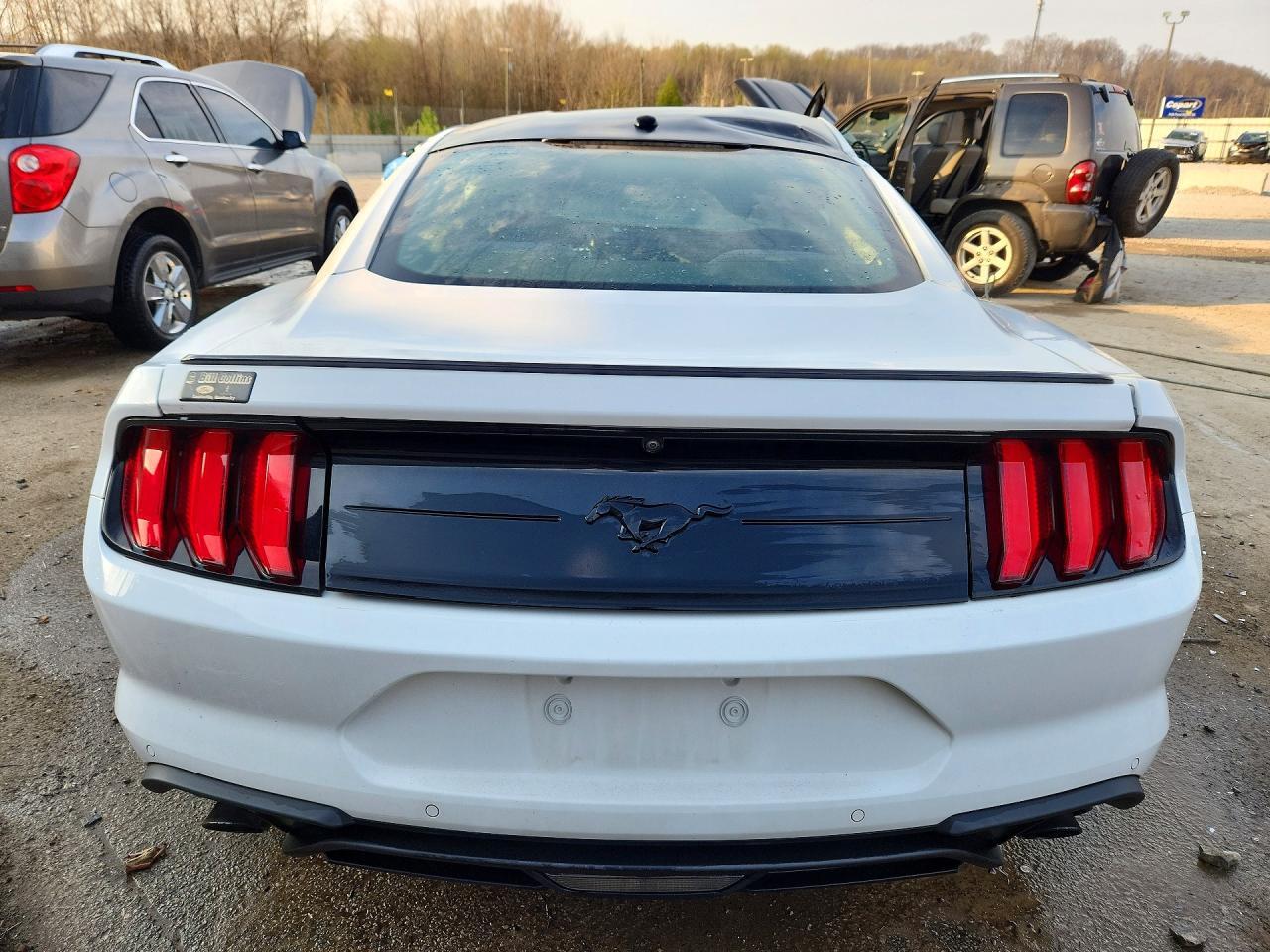 2019 Ford Mustang - Image 6