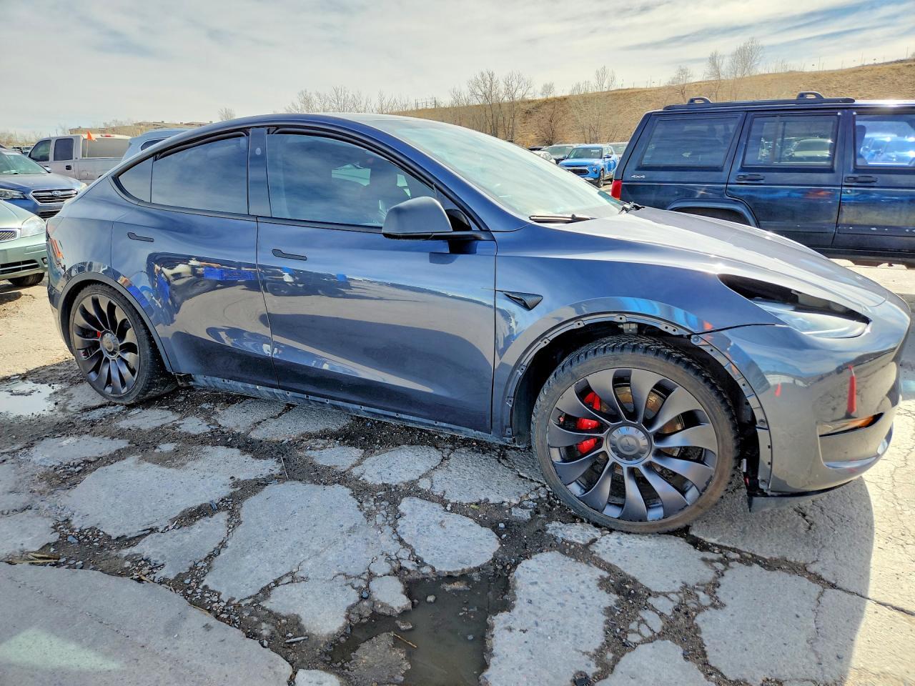 2023 Tesla Model Y - Фото 4