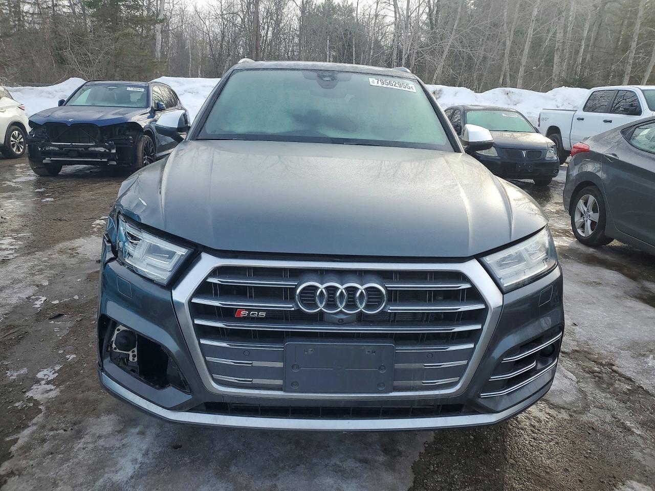 2018 Audi Sq5 Prestige - Фото 5
