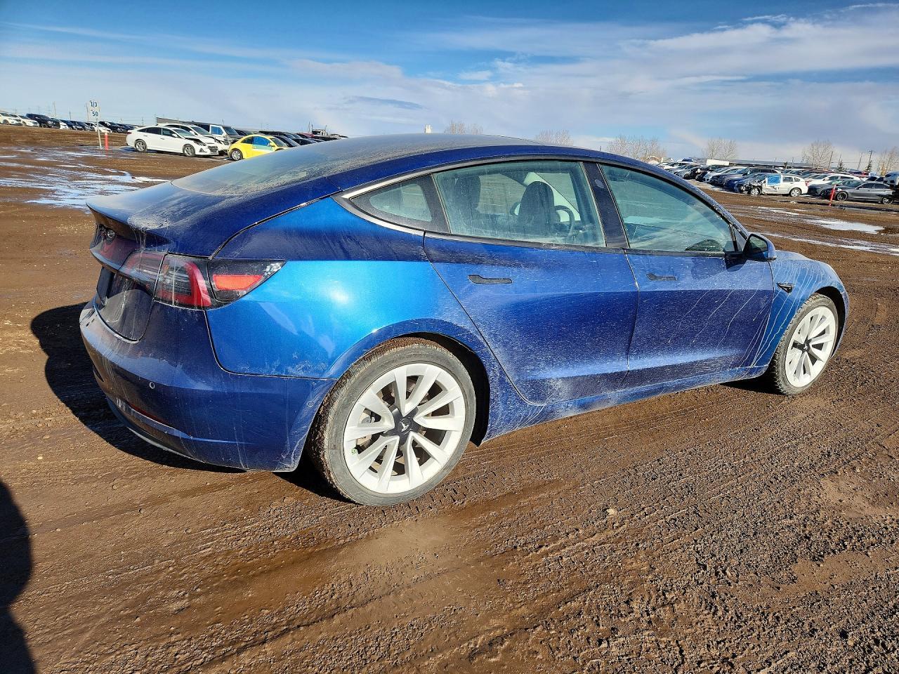 2021 Tesla Model 3 - Фото 3