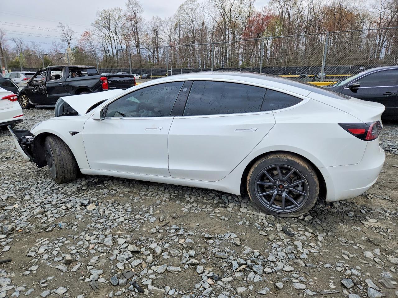 2019 Tesla 3 - Фото 2