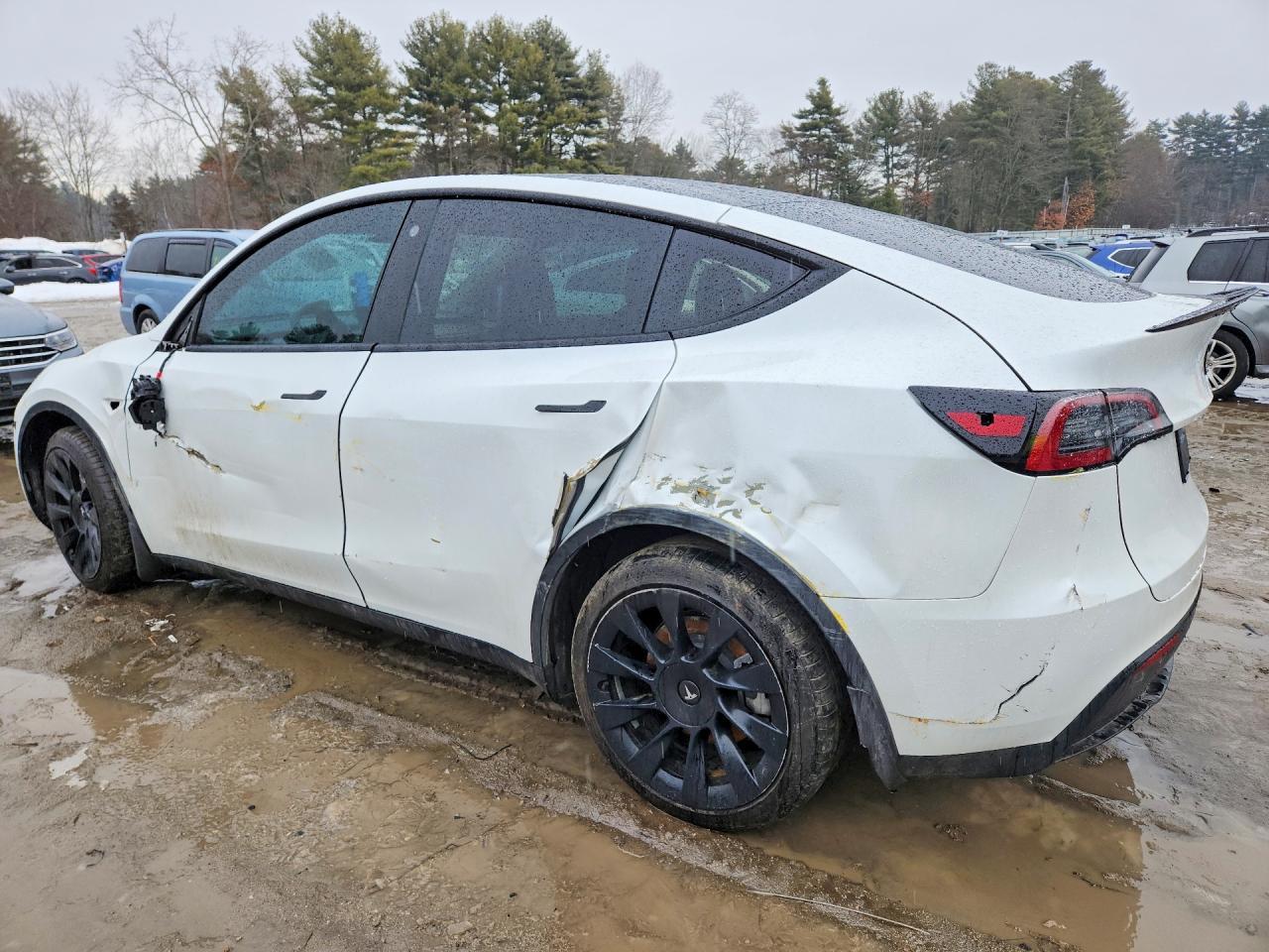 2023 Tesla Model Y - Фото 2
