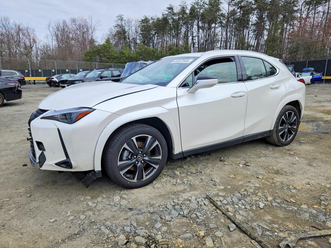 2024 Lexus Ux 250H Premium