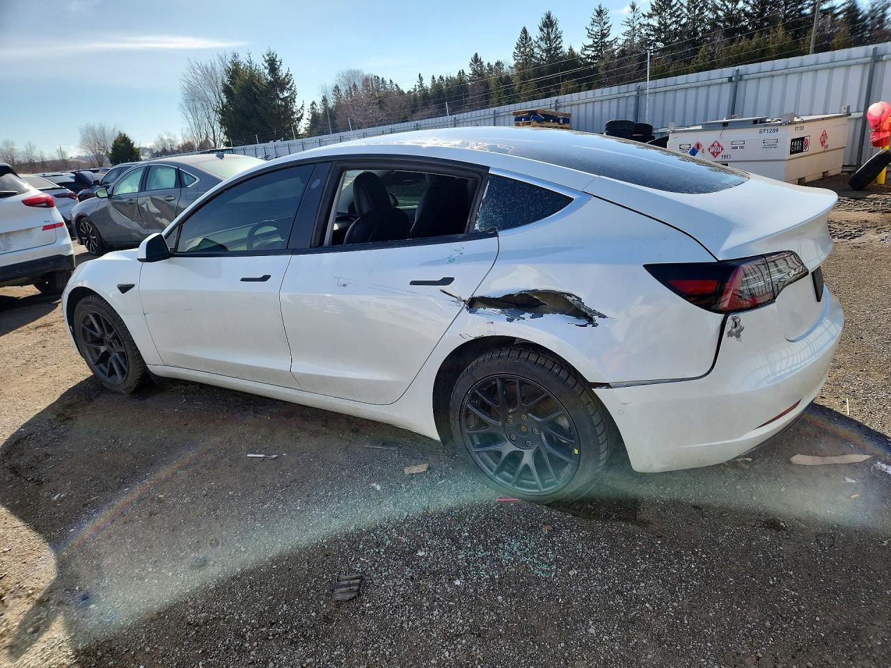 2021 Tesla Model 3 - Фото 2