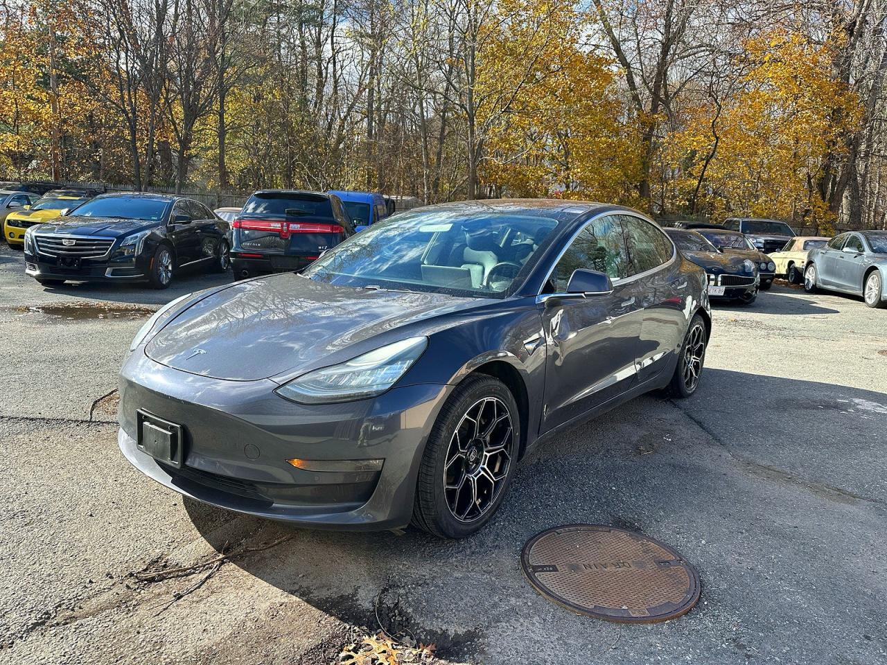 2018 Tesla Model 3 - Фото 2