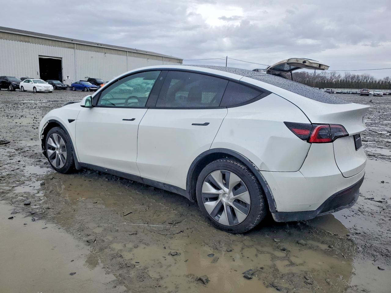 2021 Tesla Model Y - Фото 2