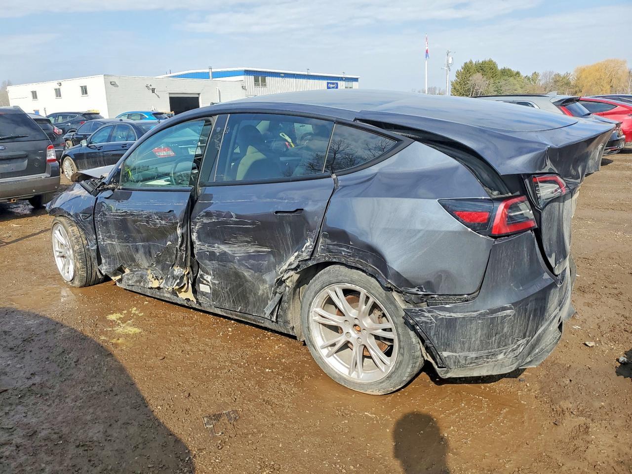 2023 Tesla Model Y - Фото 2