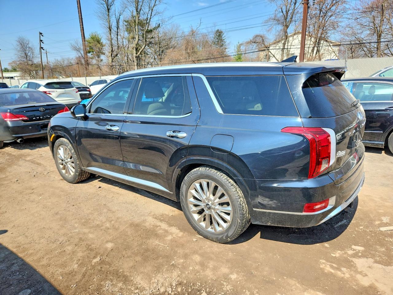 2020 Hyundai Palisade Limited - Фото 2