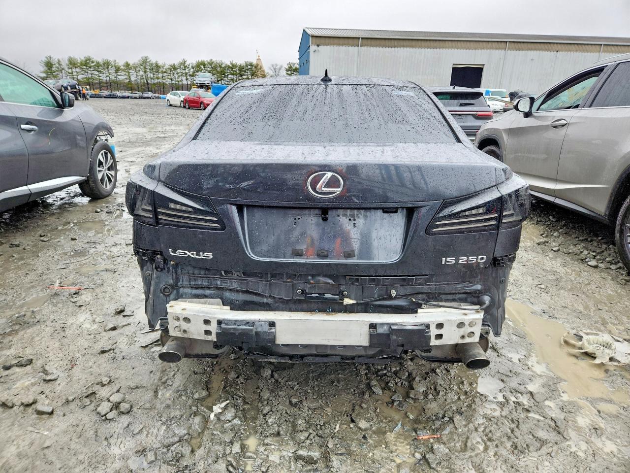 2009 Lexus Is 250 Base - Фото 6