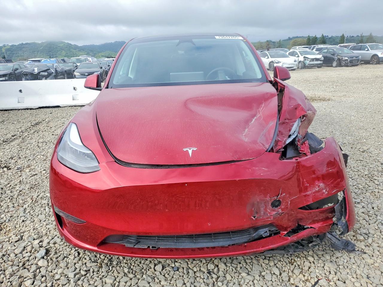 2024 Tesla Model Y - Фото 5