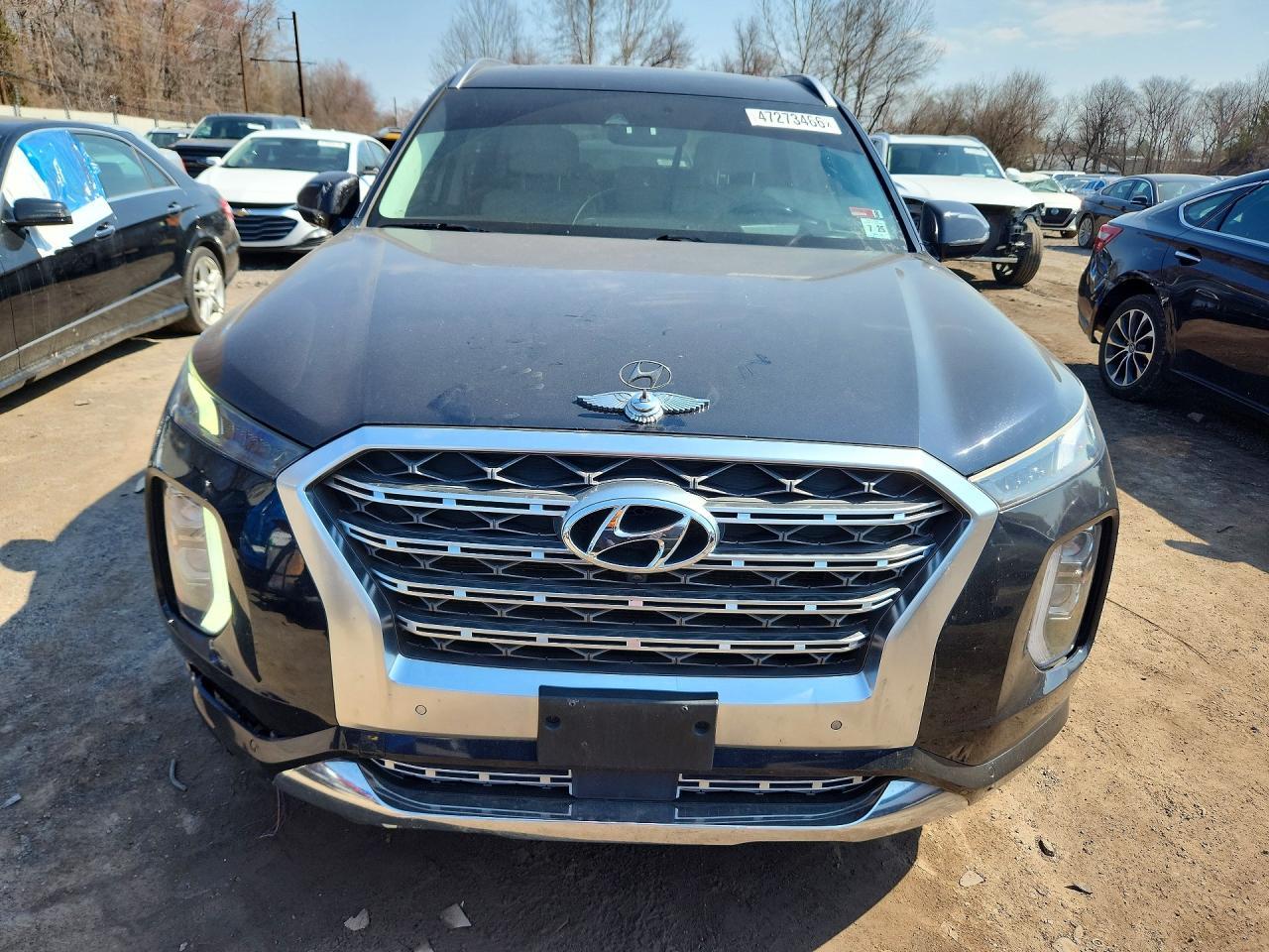 2020 Hyundai Palisade Limited - Фото 5