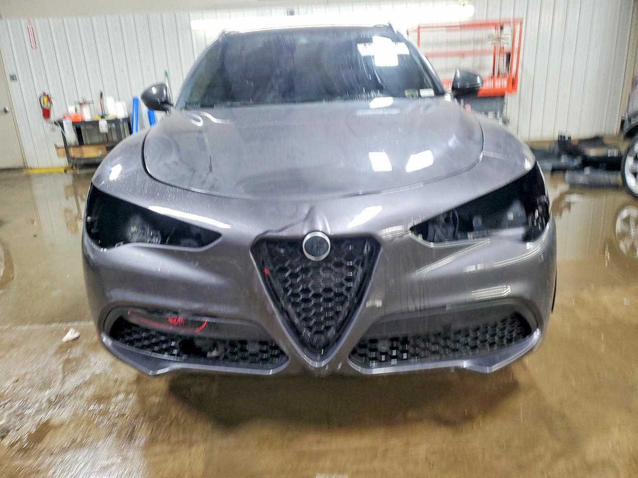 2019 Alfa Romeo Stelvio - Фото 5