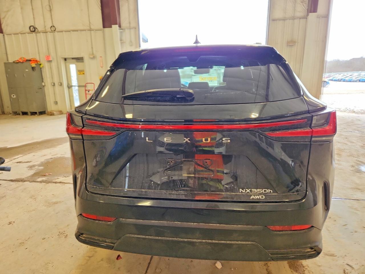 2024 Lexus Nx 350H Luxury - Фото 6